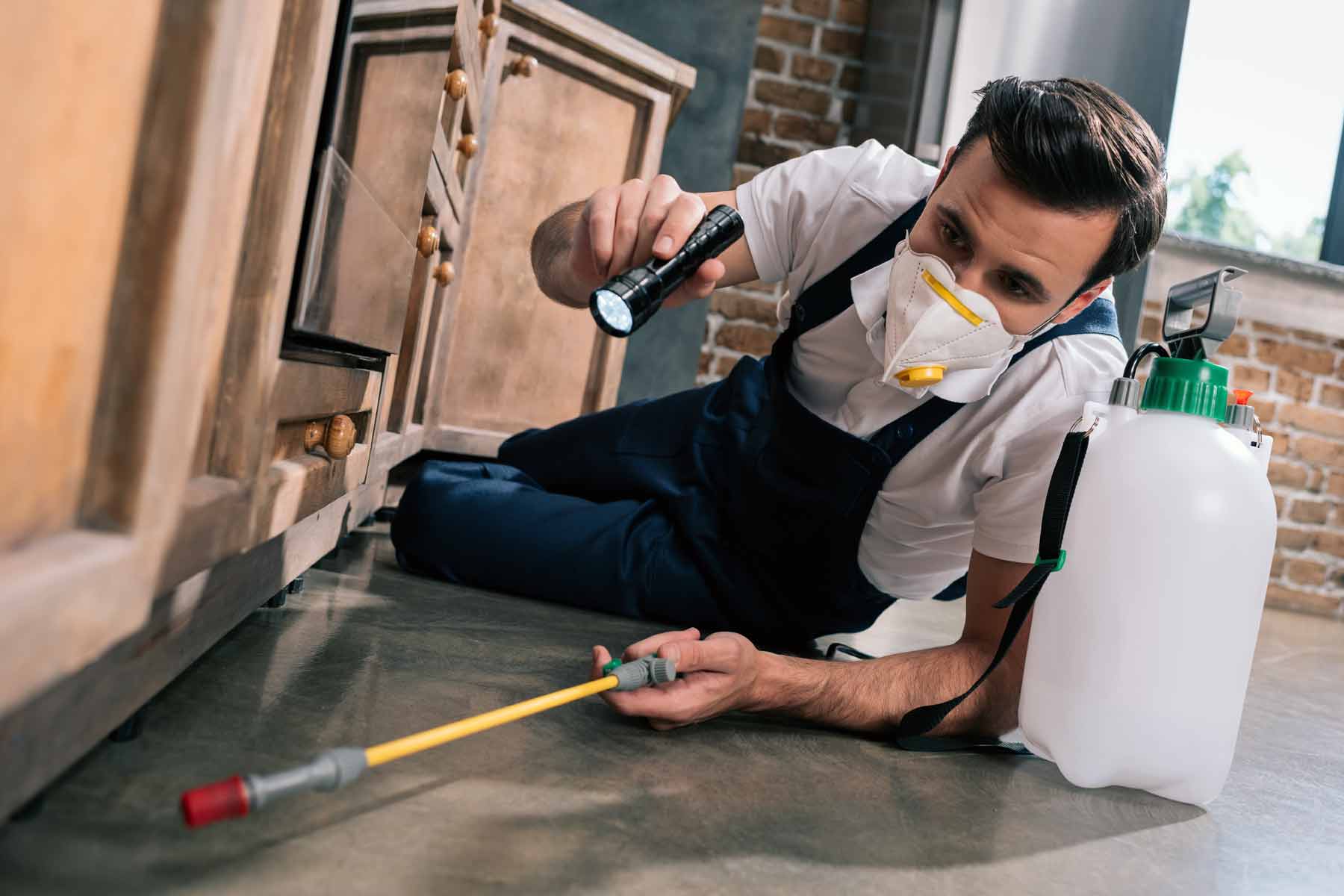 Understanding the Different Types of Pest Control Services