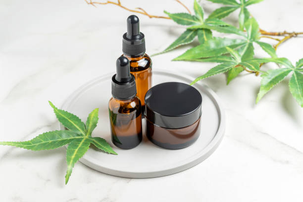 CBD North Pain Cream Canada: Trusted Relief